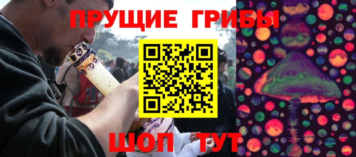 Псилоцибиновые грибы мицелий Камень-на-Оби