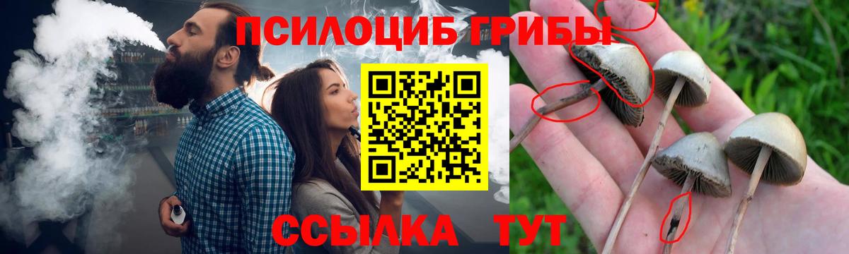 Камень-на-Оби  Галлюциногенные грибы Psilocybe  Галлюциногенные грибы Psilocybine cubensis  Вход с VPN 